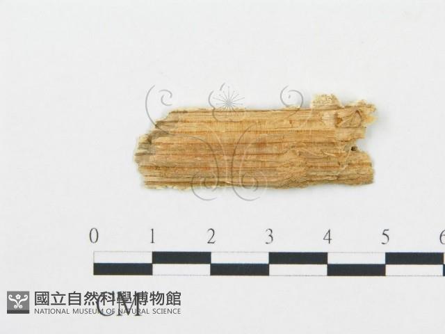 登錄號:F0006067藏品圖，第3張