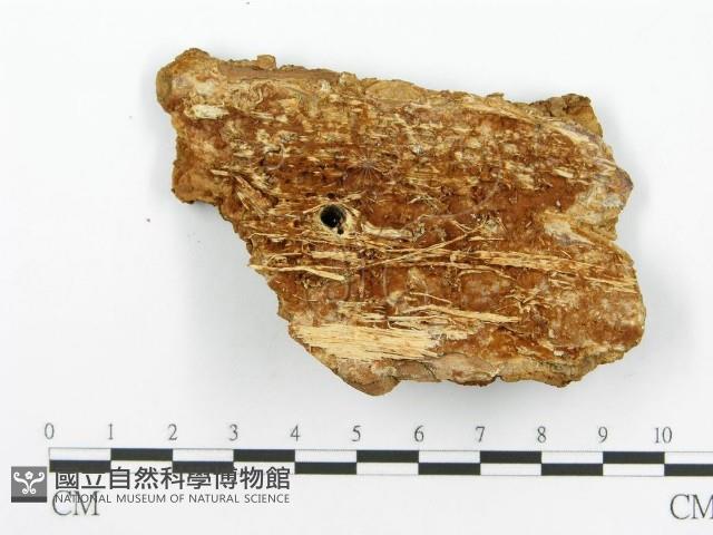 登錄號:F0014067藏品圖，第3張