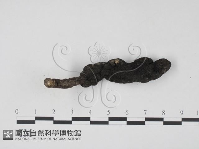 登錄號:F0007367藏品圖，第3張