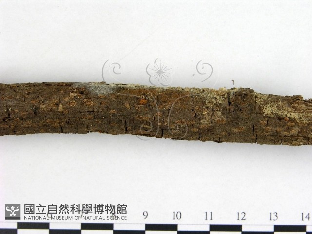 登錄號:F0002227藏品圖，第3張
