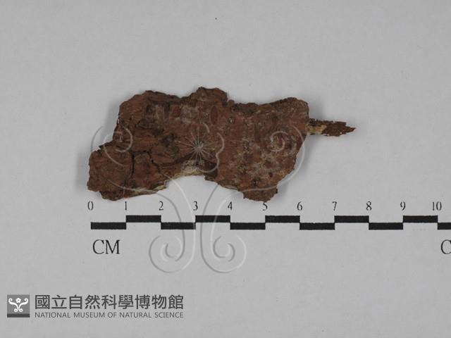 登錄號:F0028827藏品圖，第1張