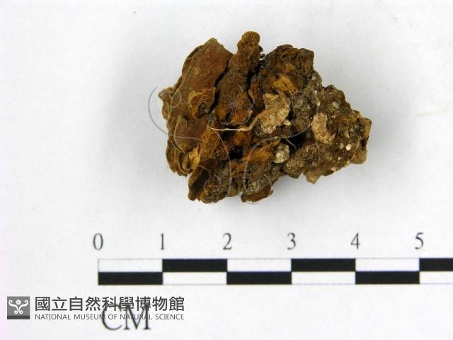登錄號:F0018827藏品圖，第3張