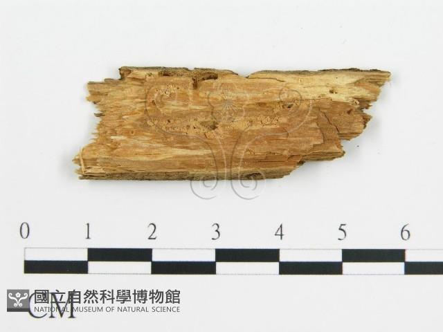 登錄號:F0016827藏品圖，第3張