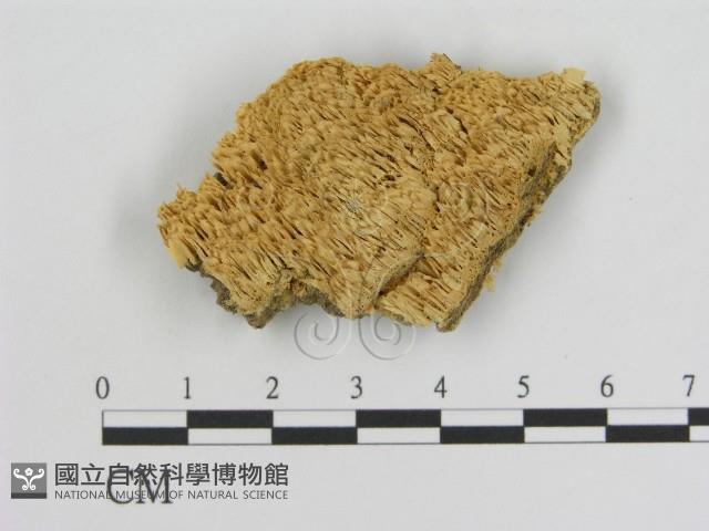 登錄號:F0006927藏品圖，第3張