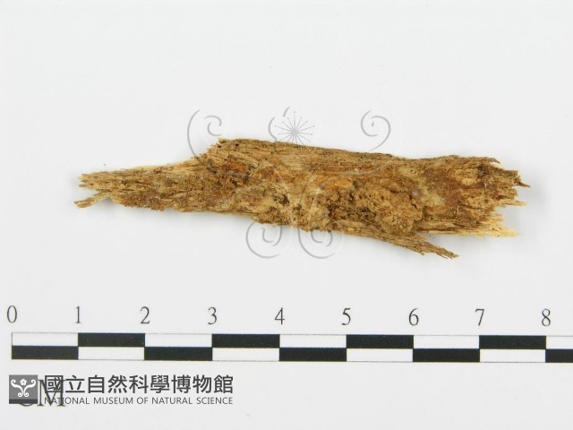 登錄號:F0013927藏品圖，第3張