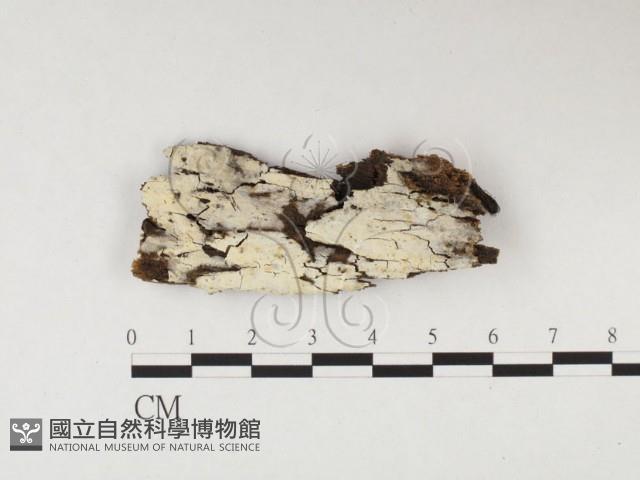 登錄號:F0026627藏品圖，第3張