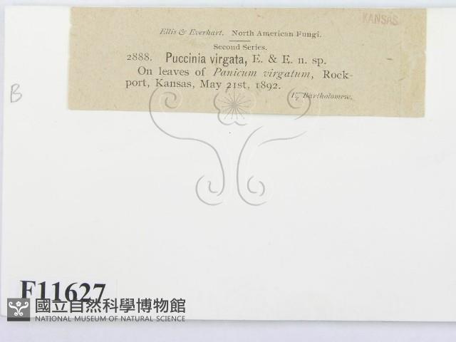 登錄號:F0011627藏品圖，第4張