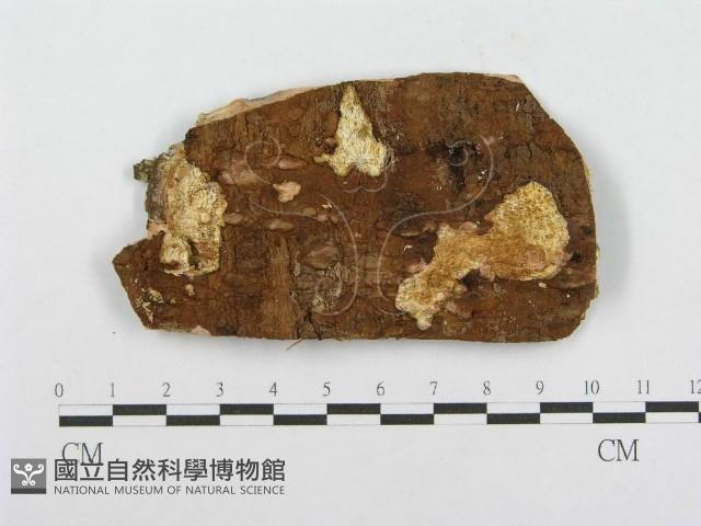 登錄號:F0004627藏品圖，第3張