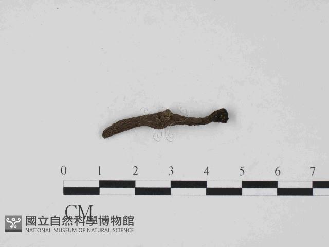 登錄號:F0014627藏品圖，第3張
