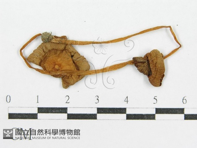 登錄號:F0008427藏品圖，第3張