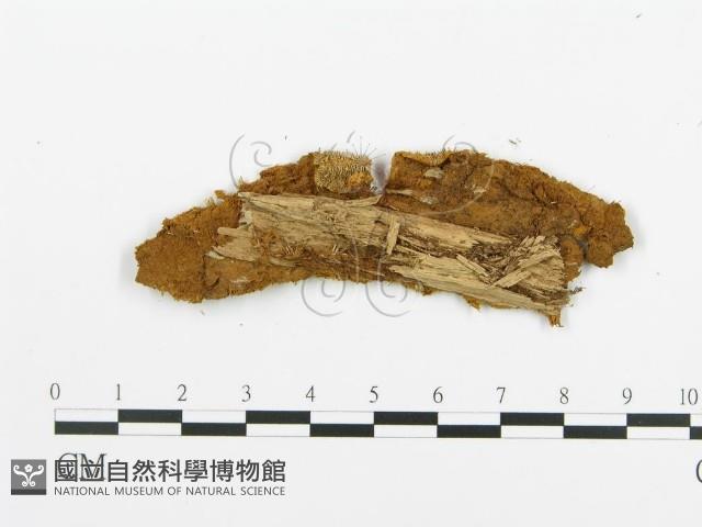 登錄號:F0009427藏品圖，第3張