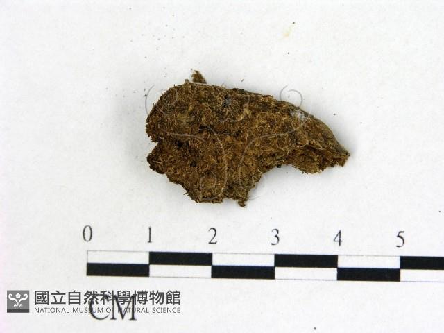 登錄號:F0000727藏品圖，第3張