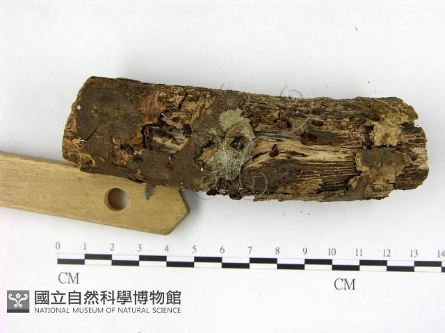 登錄號:F0004727藏品圖，第3張