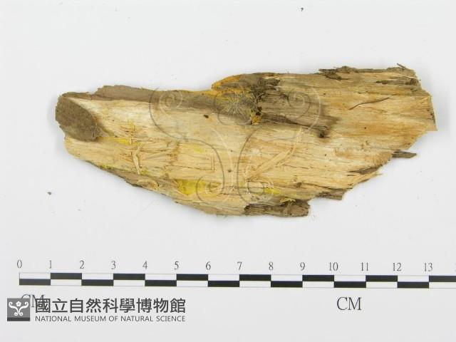 登錄號:F0017727藏品圖，第3張