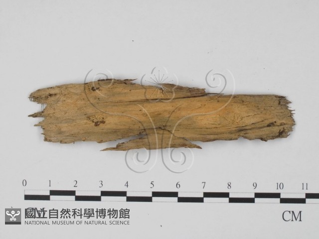 登錄號:F0015727藏品圖，第3張