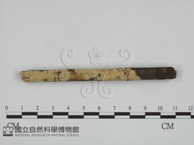 登錄號:F0002527藏品圖，第3張