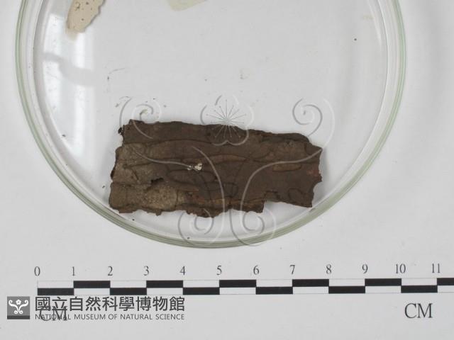 登錄號:F0018127藏品圖，第3張