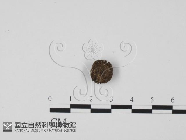 登錄號:F0001127藏品圖，第3張