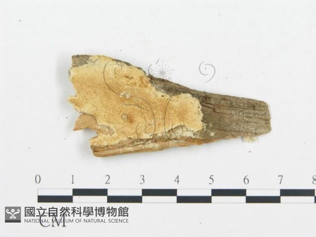 登錄號:F0014127藏品圖，第3張