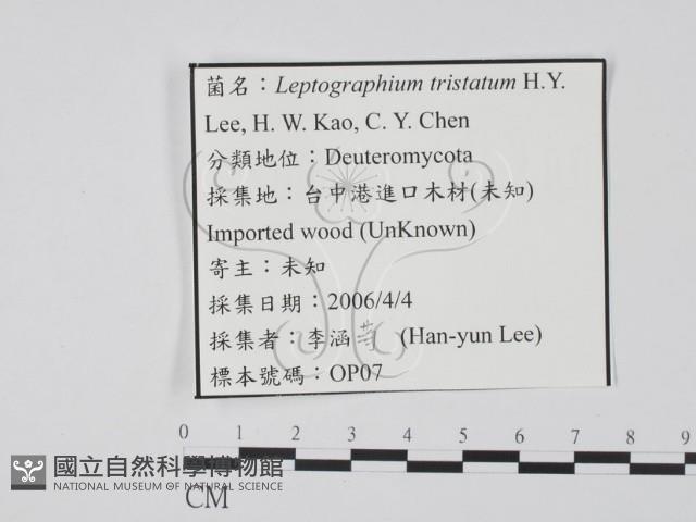 登錄號:F0022127藏品圖，第3張