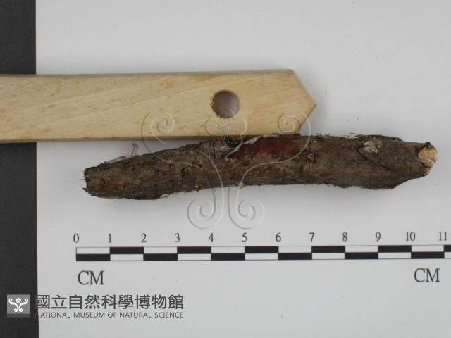 登錄號:F0012127藏品圖，第3張