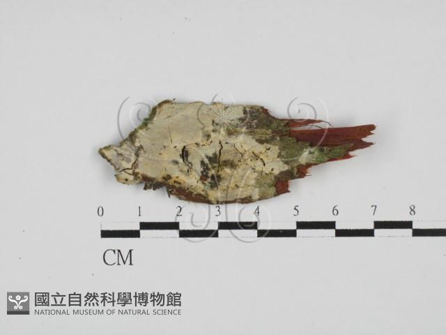 登錄號:F0028027藏品圖，第3張