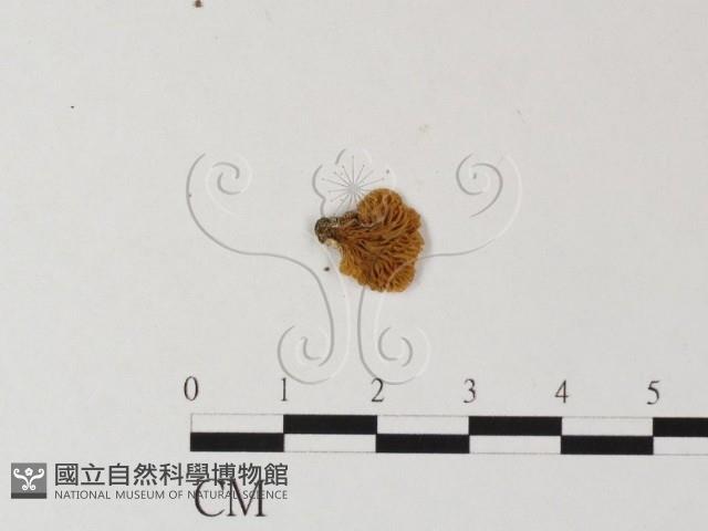 登錄號:F0016027藏品圖，第3張