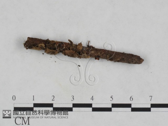 登錄號:F0024027藏品圖，第3張