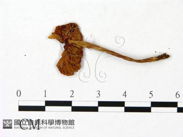 登錄號:F0023027藏品圖，第3張