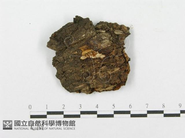 登錄號:F0017327藏品圖，第1張