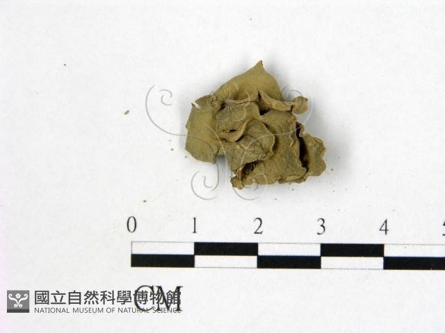 登錄號:F0000207藏品圖，第3張
