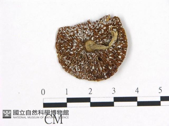 登錄號:F0002207藏品圖，第1張