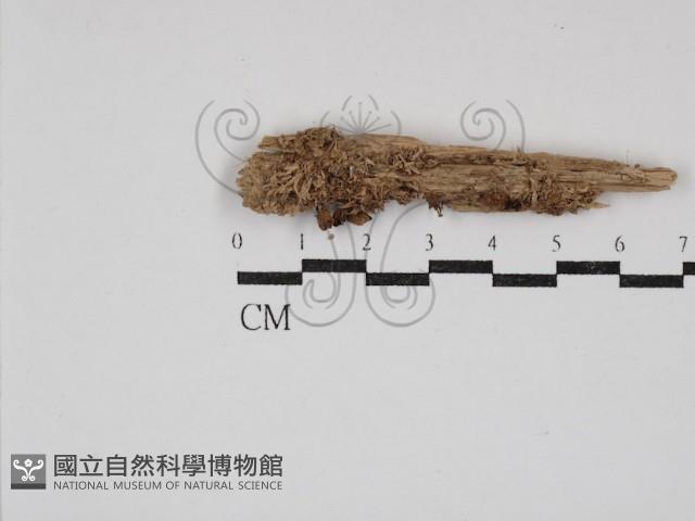 登錄號:F0030807藏品圖，第1張