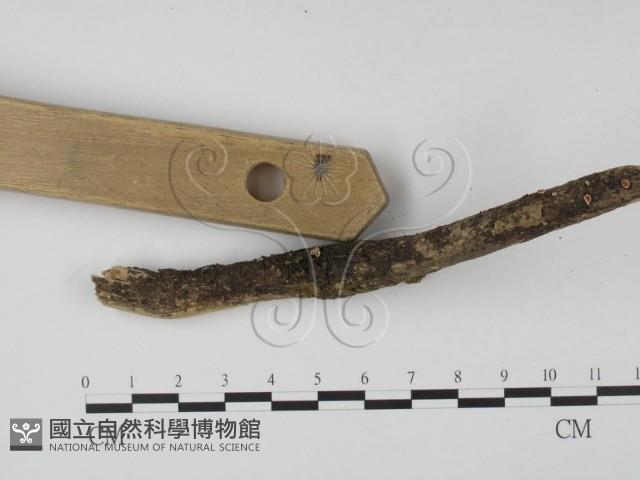 登錄號:F0000407藏品圖，第3張