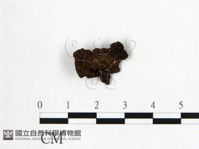 登錄號:F0021407藏品圖，第3張