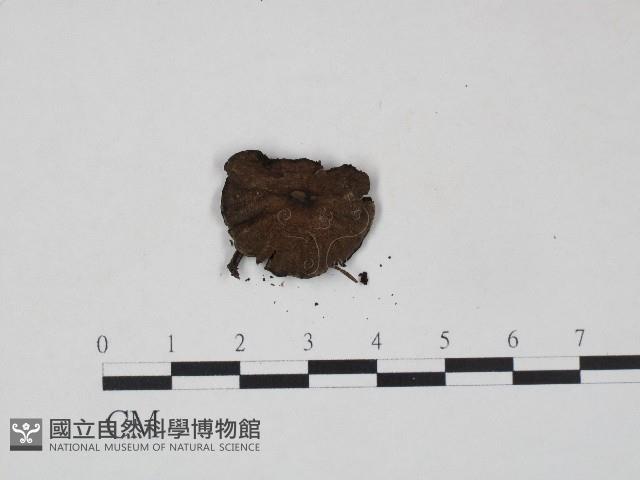 登錄號:F0004407藏品圖，第3張