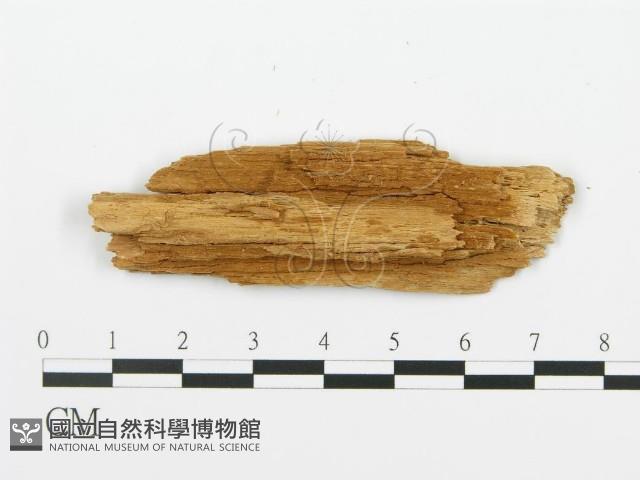 登錄號:F0016707藏品圖，第3張