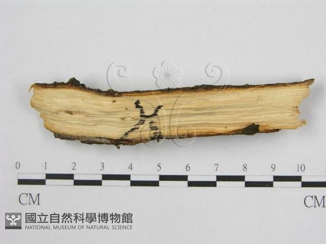 登錄號:F0004507藏品圖，第3張