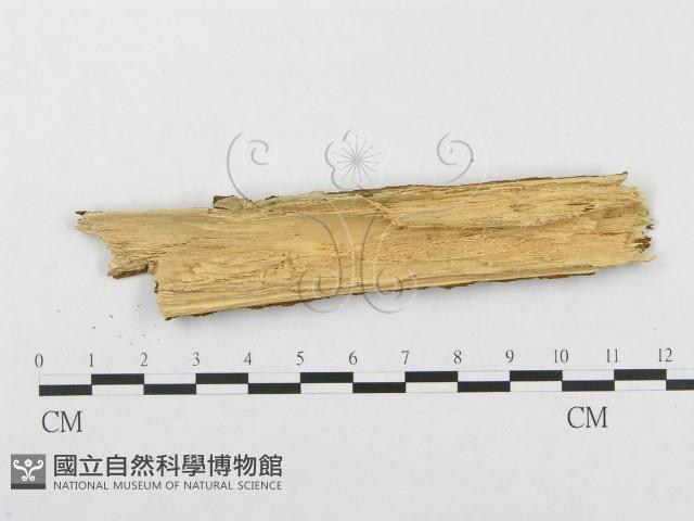 登錄號:F0002507藏品圖，第3張