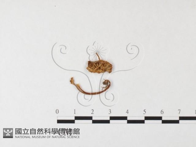 登錄號:F0026107藏品圖，第3張