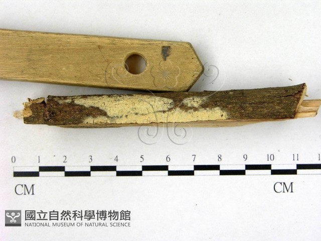 登錄號:F0022107藏品圖，第3張