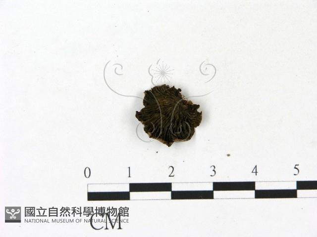 登錄號:F0023107藏品圖，第3張