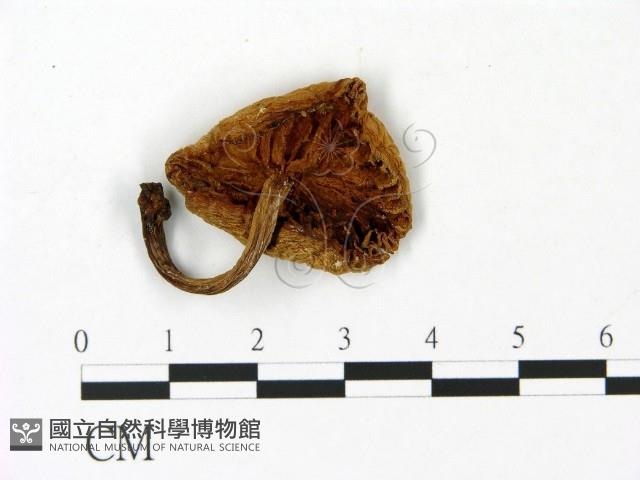 登錄號:F0023007藏品圖，第3張