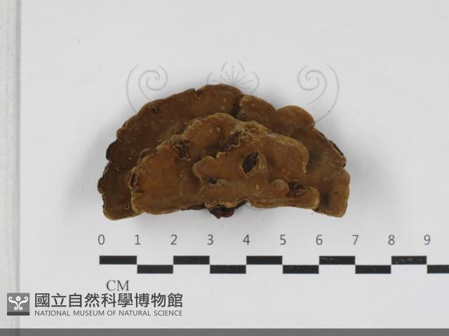 登錄號:F0033307藏品圖，第3張