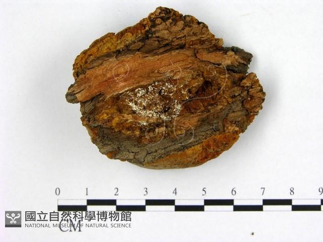 登錄號:F0007217藏品圖，第3張