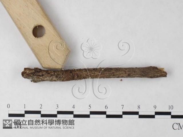 登錄號:F0023217藏品圖，第3張