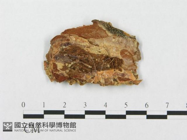 登錄號:F0003217藏品圖，第3張