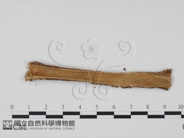 登錄號:F0011817藏品圖，第3張