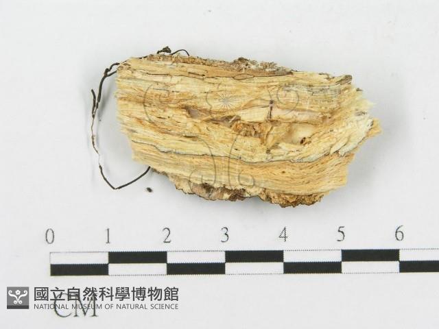 登錄號:F0017817藏品圖，第3張