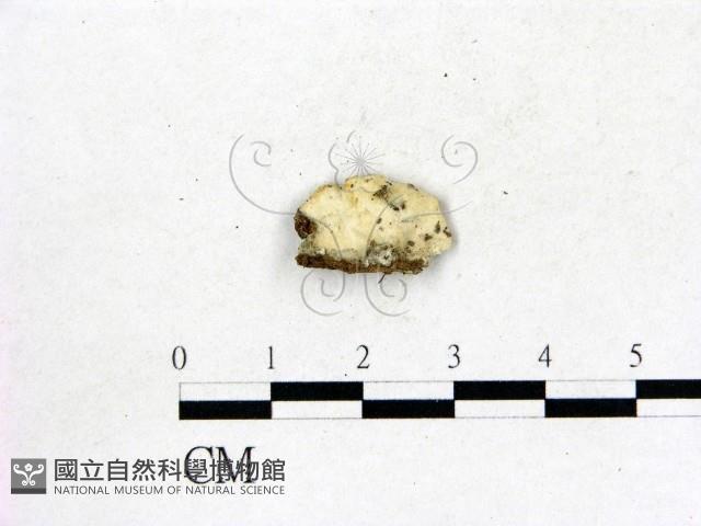 登錄號:F0017917藏品圖，第3張